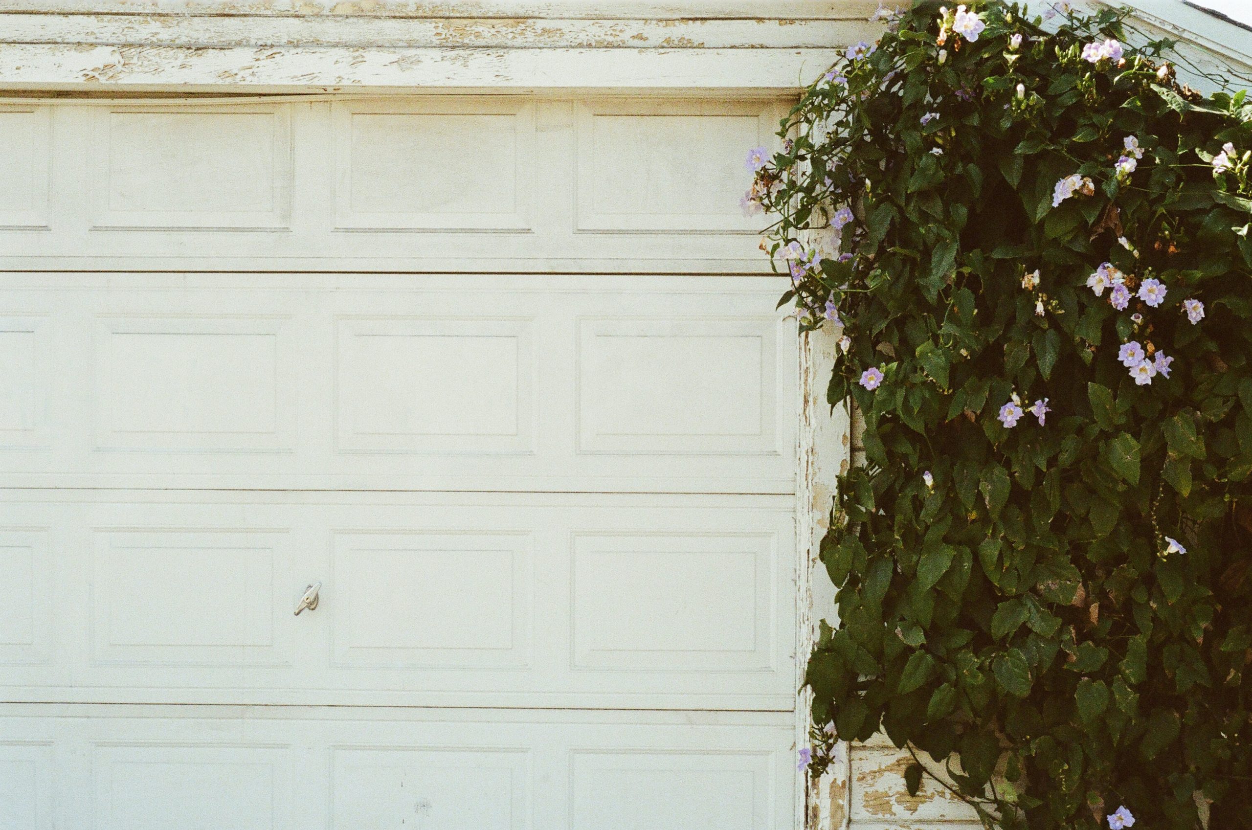 A garage door next to a tree.