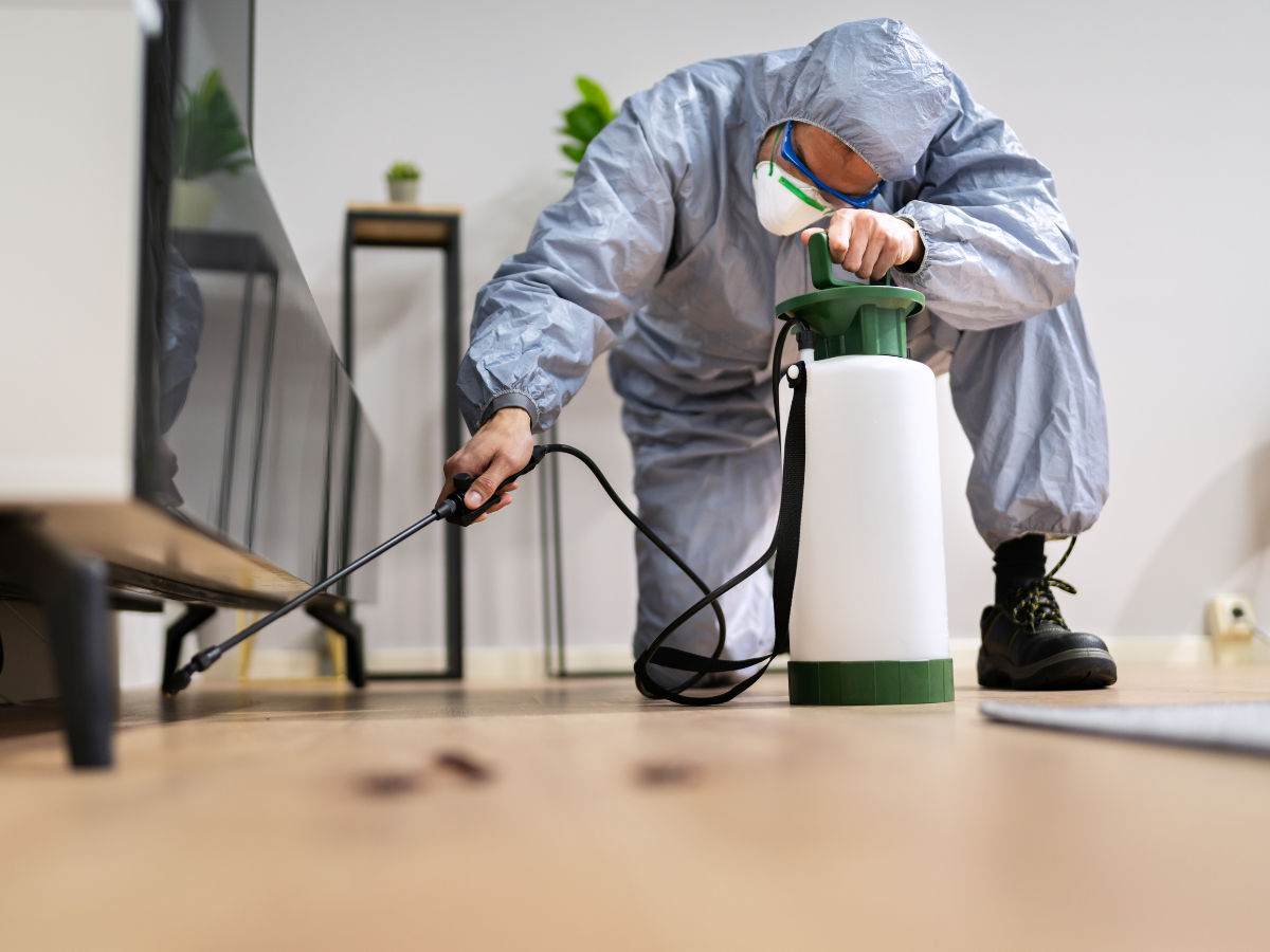 seo for pest control